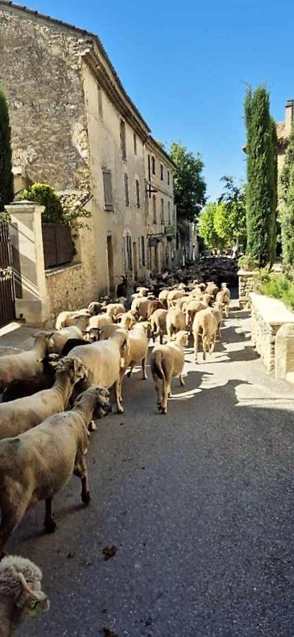 Chambres D'Hotes Le Relais Des Marmottes En Luberon Lagnes Εξωτερικό φωτογραφία